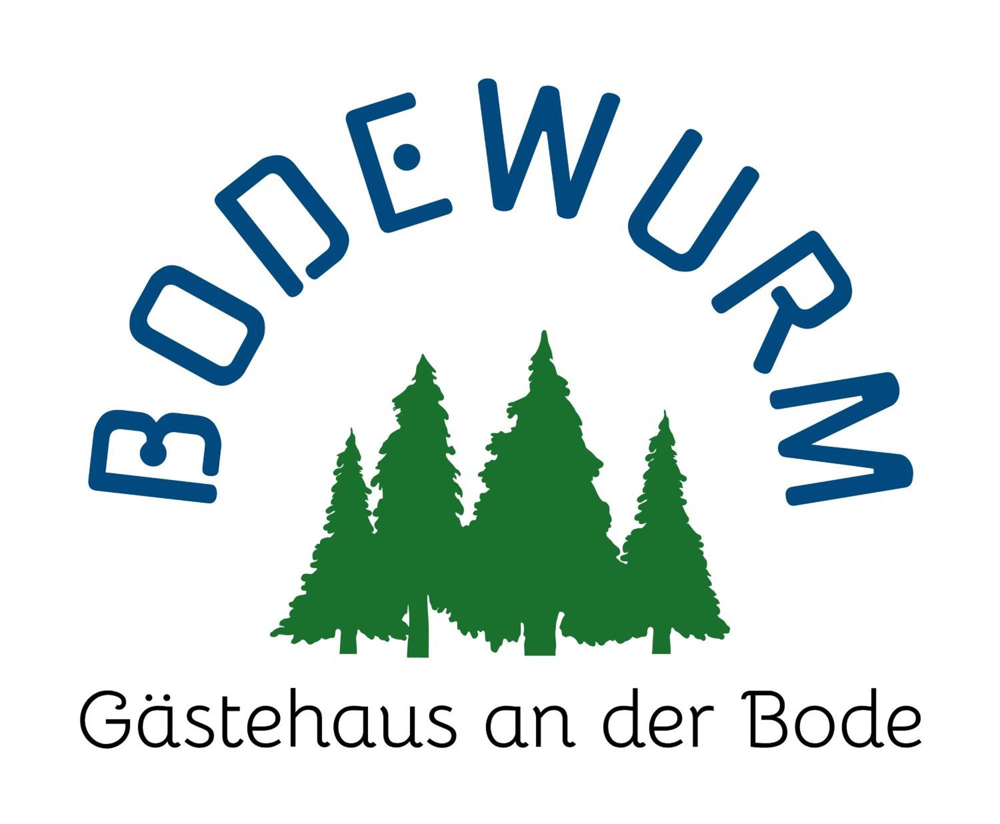 Gaestehaus Bodewurm Braunlage Kültér fotó