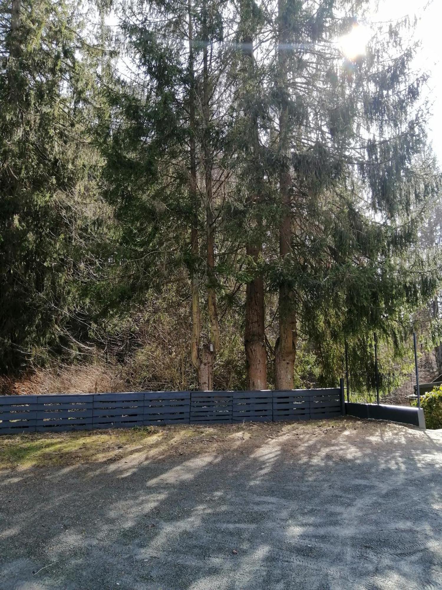 Gaestehaus Bodewurm Braunlage Kültér fotó